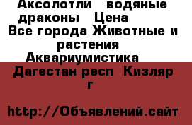Аксолотли / водяные драконы › Цена ­ 500 - Все города Животные и растения » Аквариумистика   . Дагестан респ.,Кизляр г.